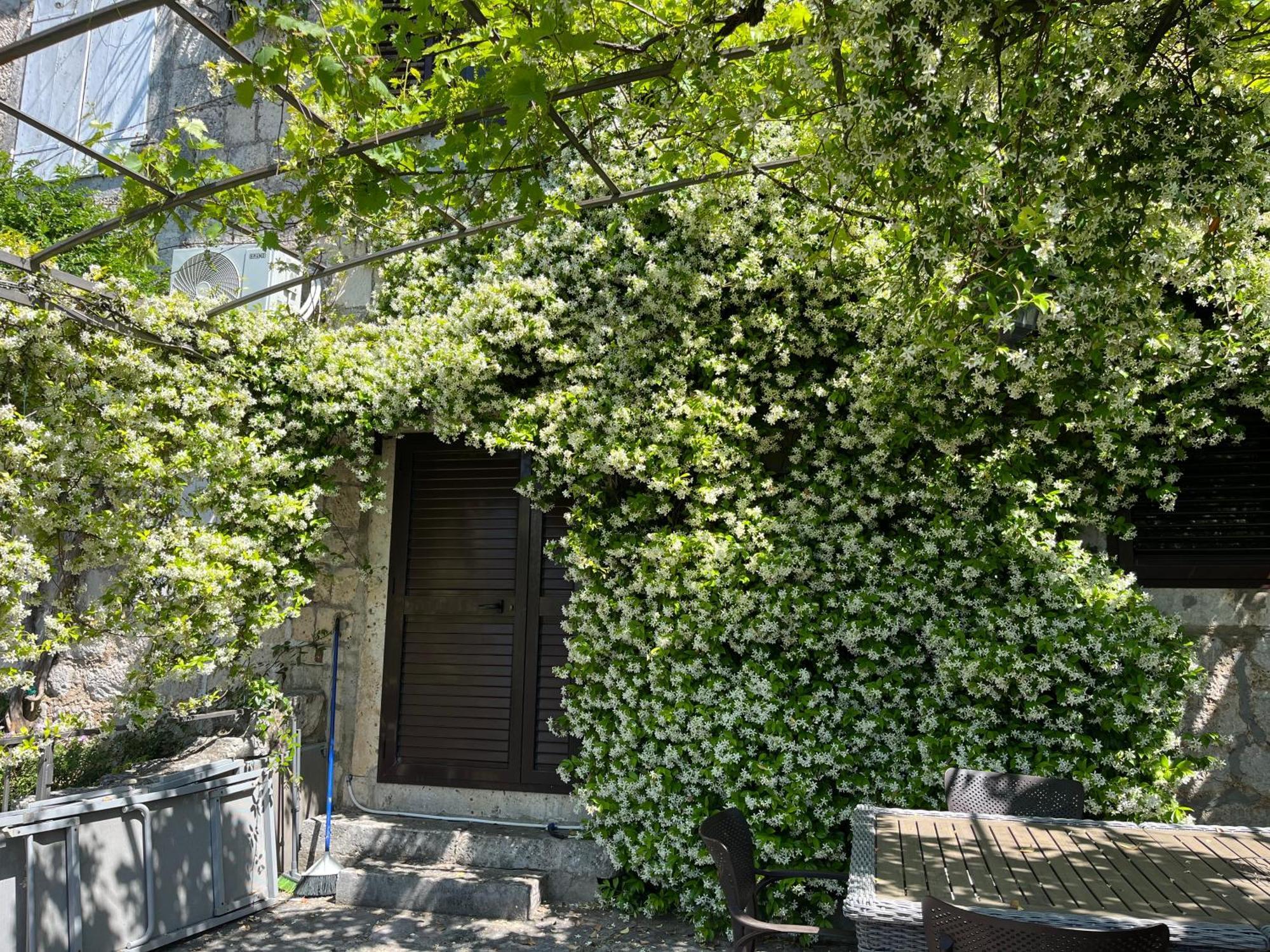 Be Happy In Perast Apartman Kültér fotó